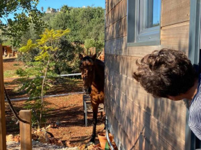 Location Tiny House Loule